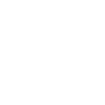 alpine guides logo