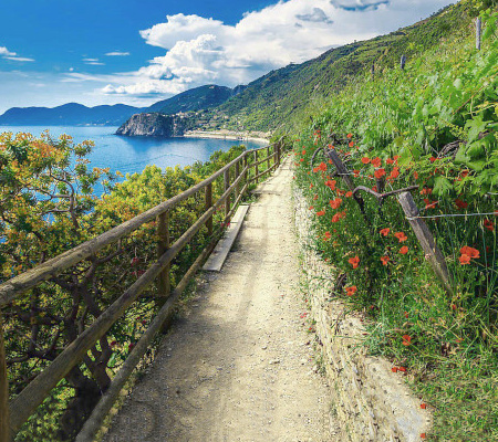 Tutte le Cinque Terre a piedi ed oltre