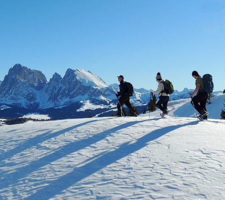 Escursione sulla neve con discesa in slittino