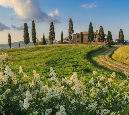 Itinerario in Val d Orcia tra antichi borghi e vigneti